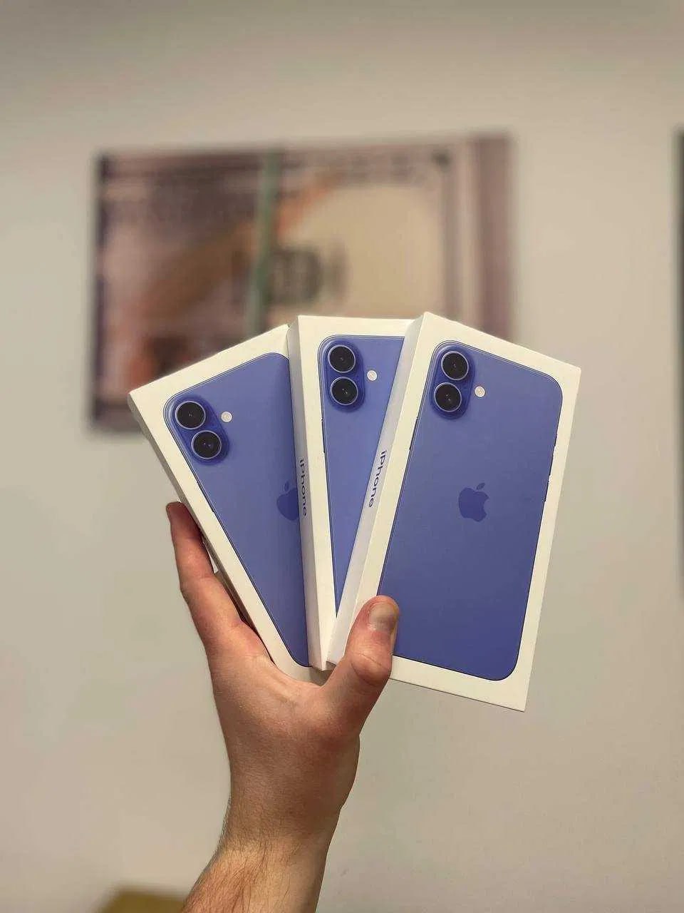 iPhone 16 Plus